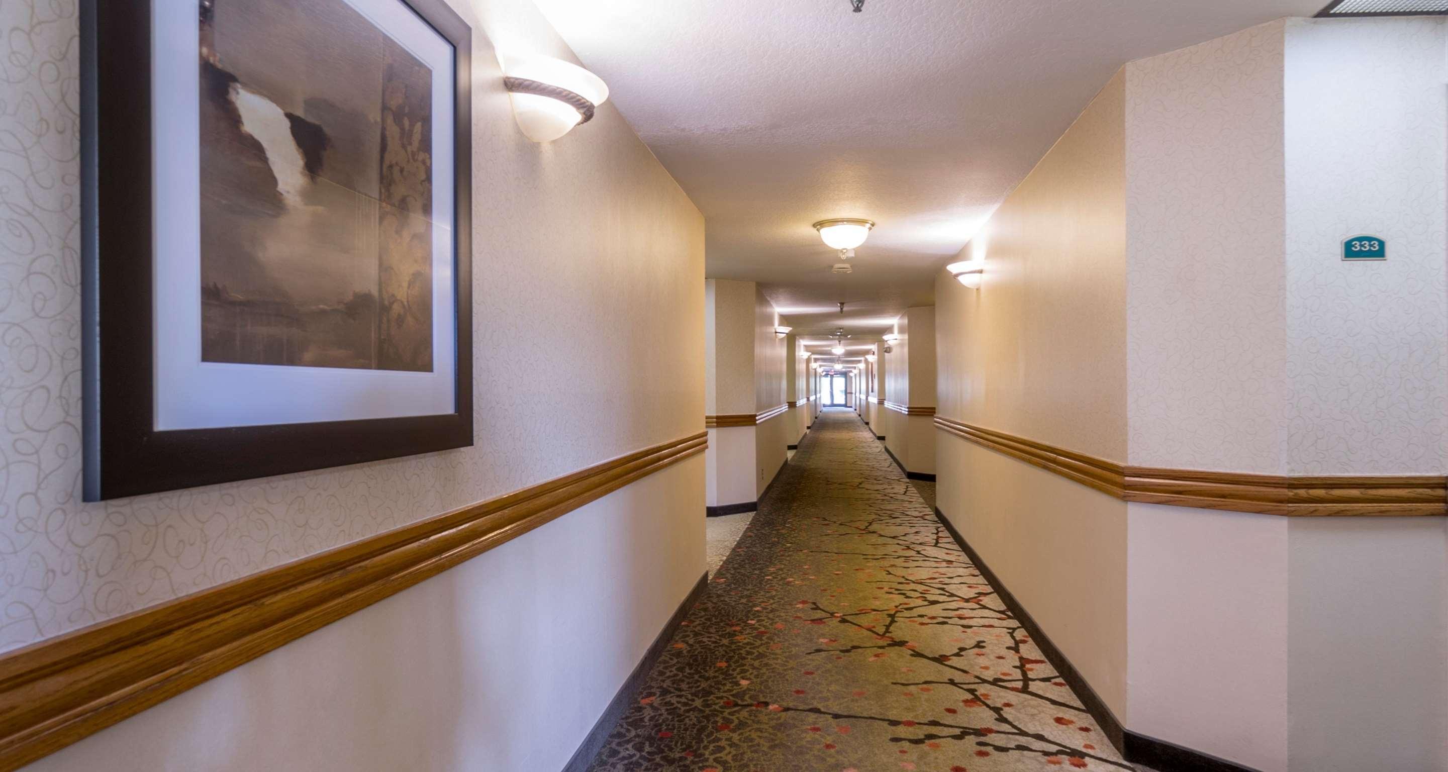 Best Western Plus Newport Mesa Inn Costa Mesa Dış mekan fotoğraf